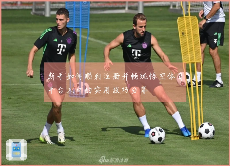 新手如何顺利注册并畅玩悟空体育平台入口的实用技巧分享