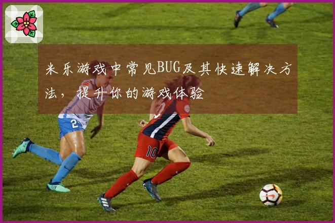 米乐游戏中常见BUG及其快速解决方法，提升你的游戏体验