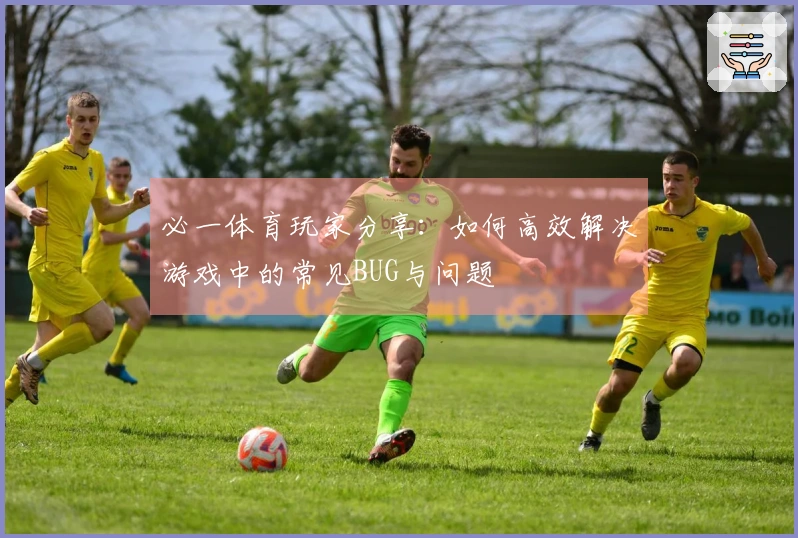 必一体育玩家分享：如何高效解决游戏中的常见BUG与问题